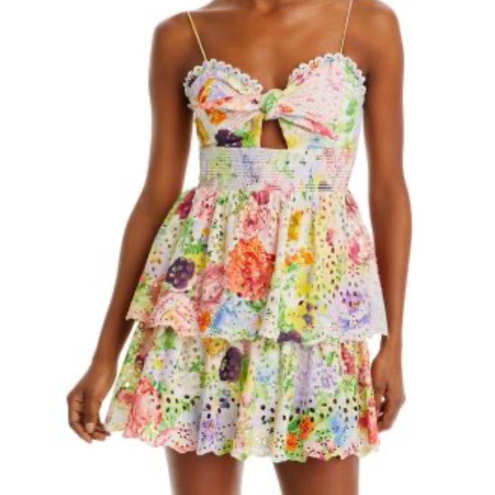 Alice and Olivia Dress Size 2.  Adorable!